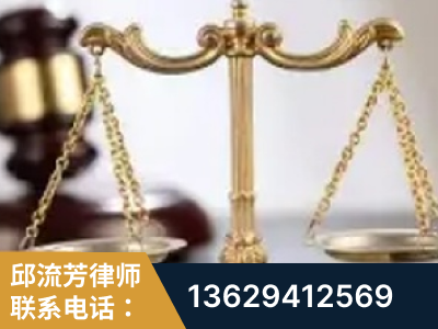 肥城-委托诉讼代理人出庭